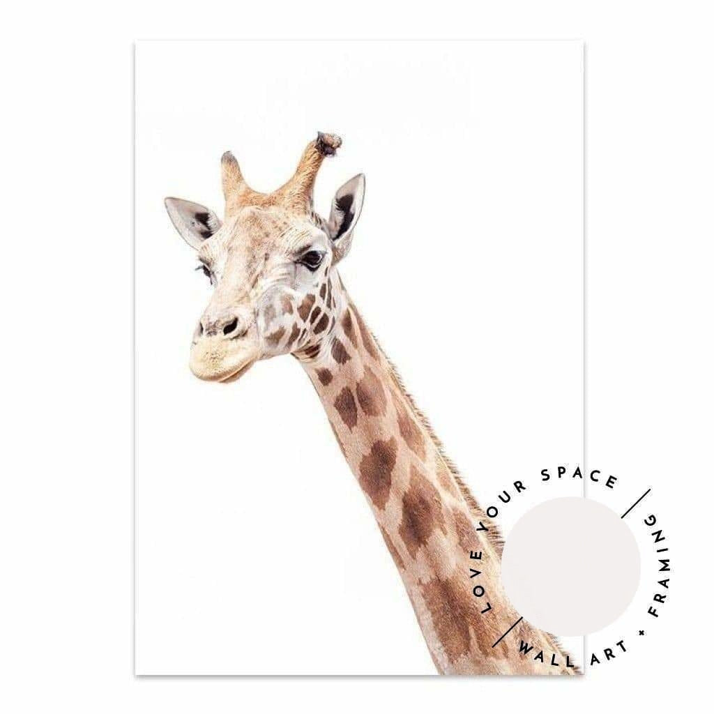 A Cute Pair - Giraffe & Alphabet - Love Your Space