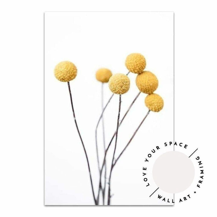Billy Buttons - Love Your Space