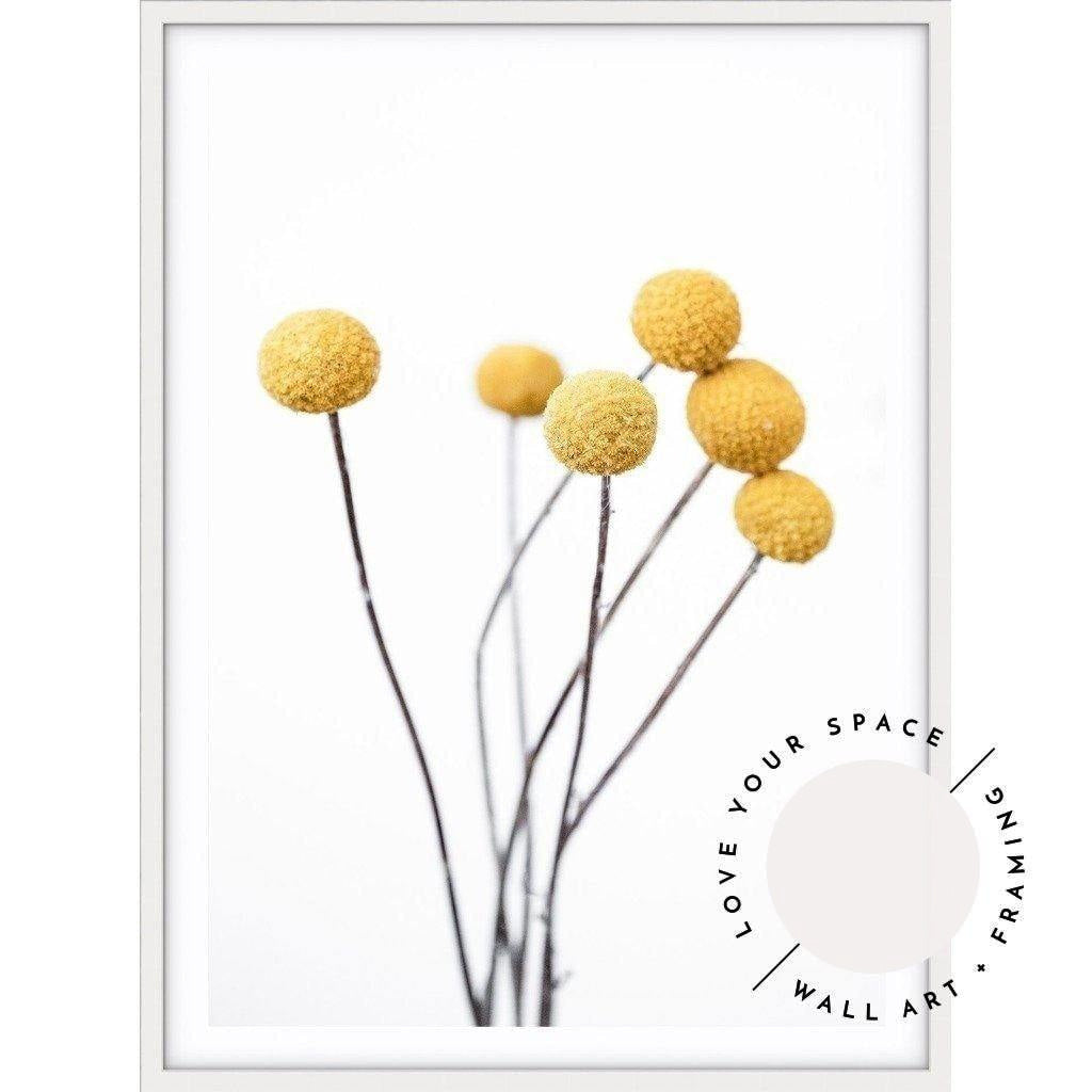 Billy Buttons - Love Your Space