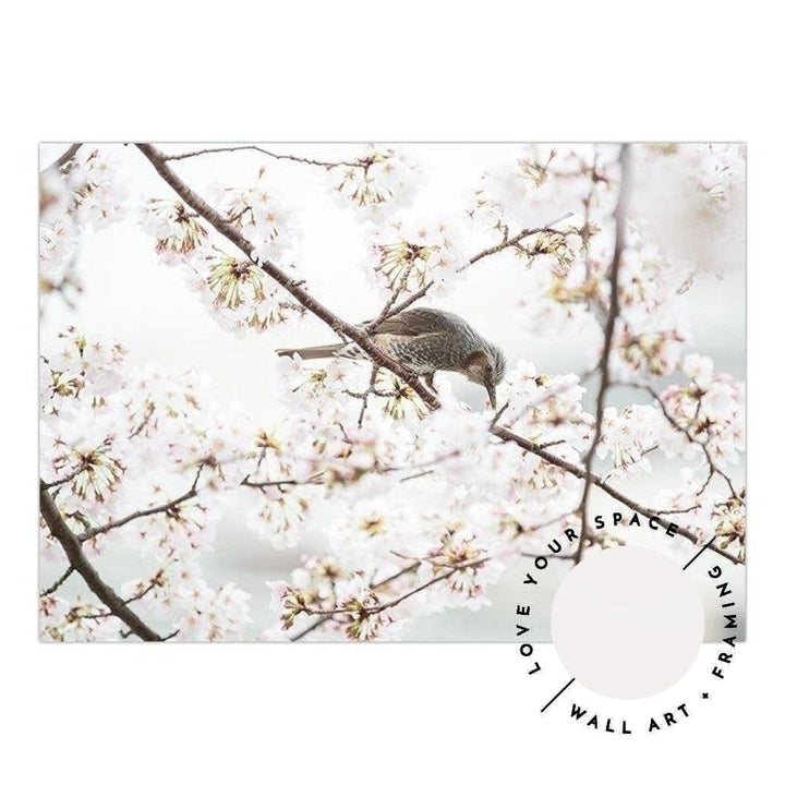 Cherry Blossom - Love Your Space