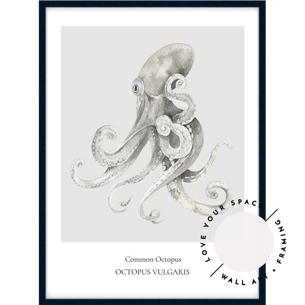 Common Octopus - Love Your Space
