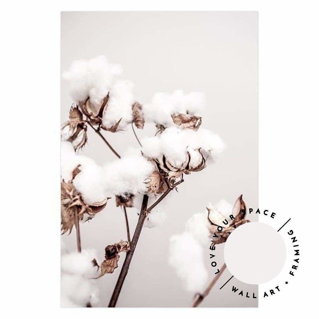 Cotton Plant - Love Your Space