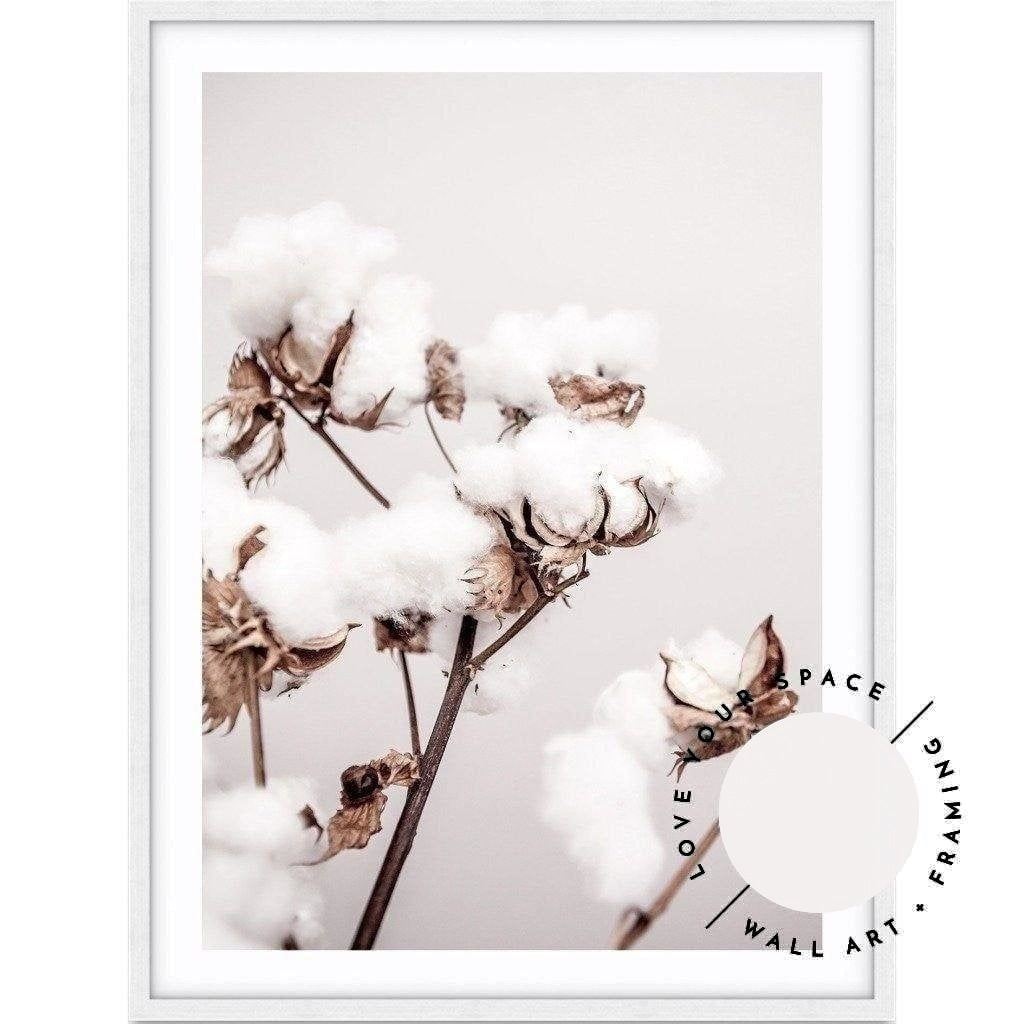 Cotton Plant - Love Your Space