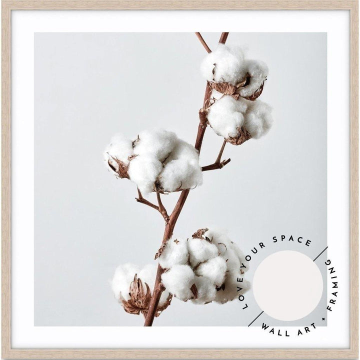 Cotton Plant - SQUARE - Love Your Space