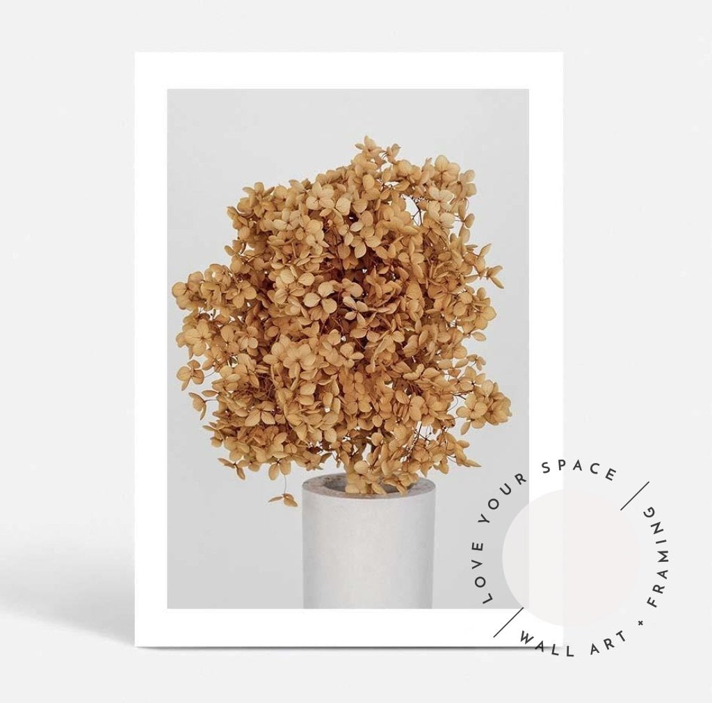 Dried Hydrangea - Love Your Space