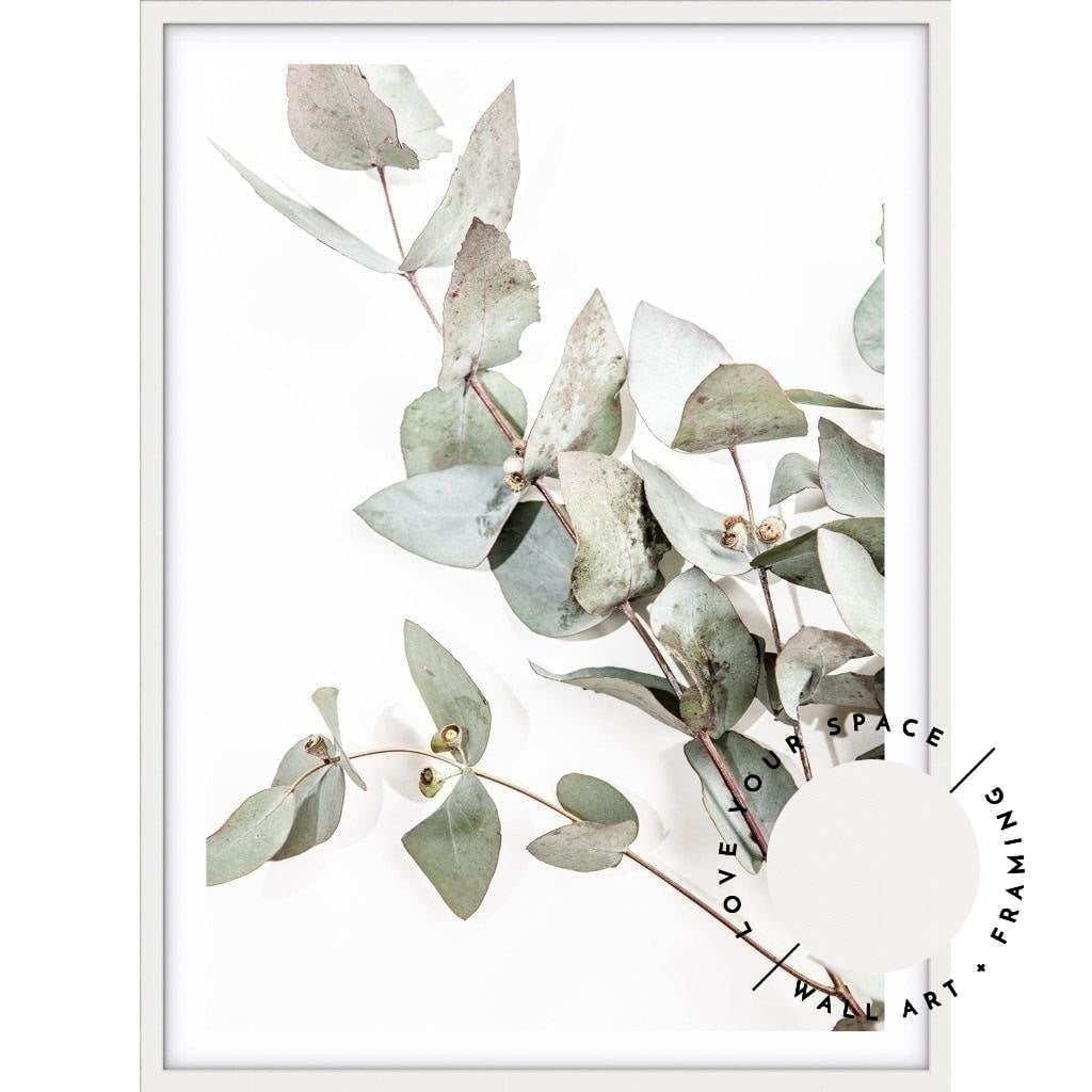 Eucalyptus Leaves no.1 - Love Your Space