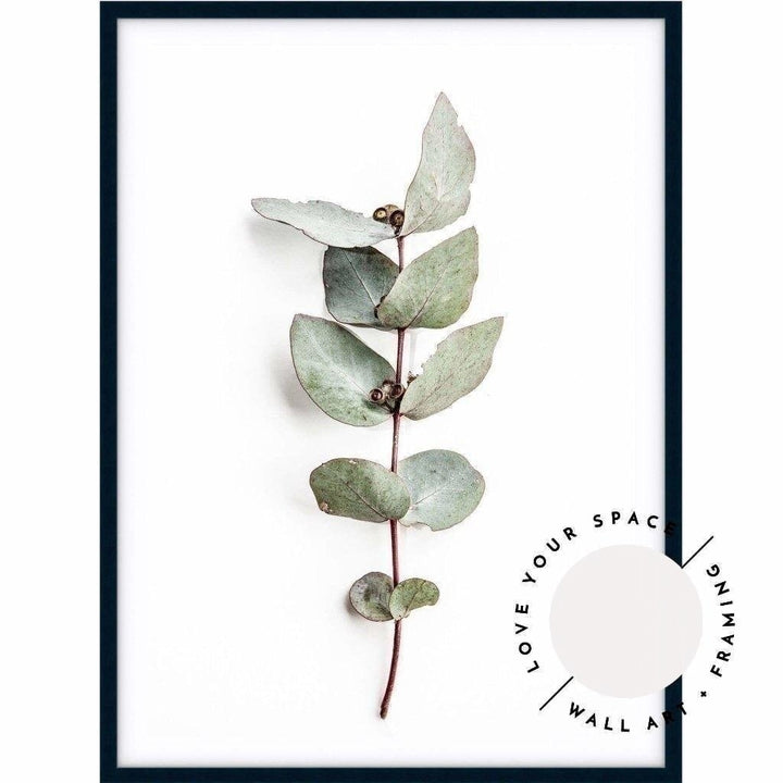 Eucalyptus Leaves no.2 - Love Your Space