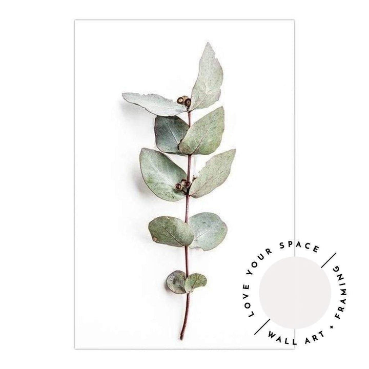 Eucalyptus Leaves no.2 - Love Your Space