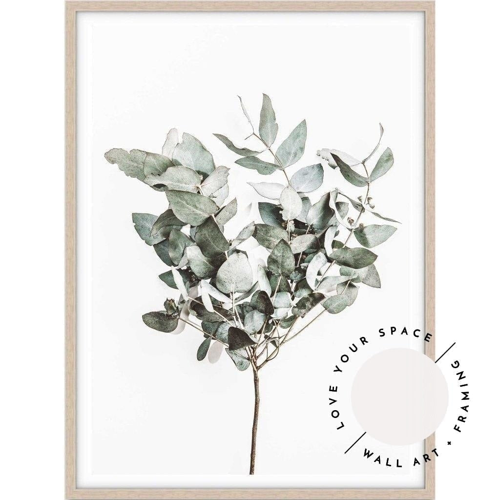 Eucalyptus Leaves no.3 - Love Your Space