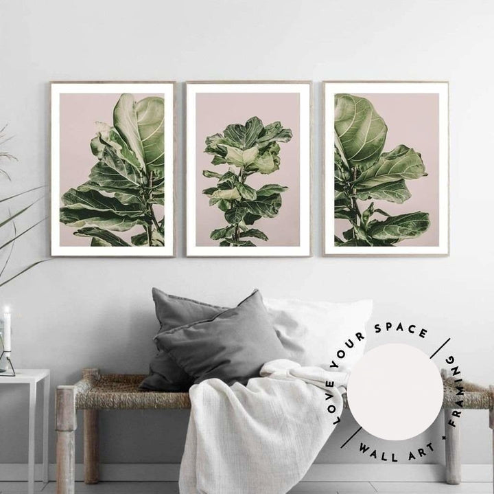 Fiddle Leaf On Pink no.3 - Love Your Space