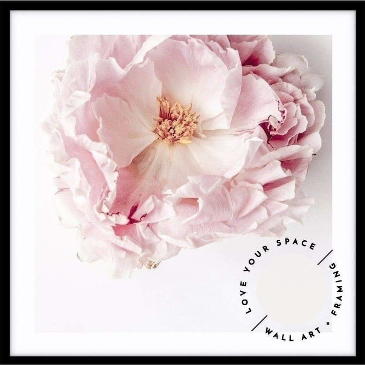 Full Bloom Peony I - SQUARE - Love Your Space