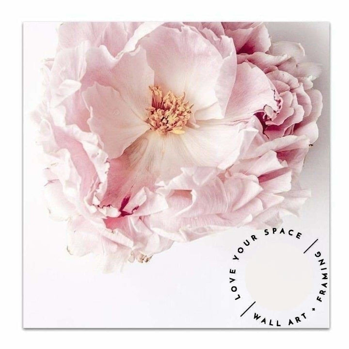 Full Bloom Peony I - SQUARE - Love Your Space