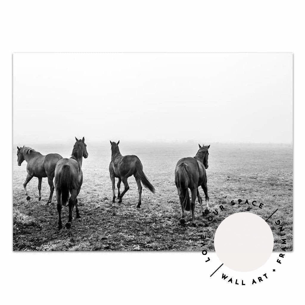 Gallop - Love Your Space