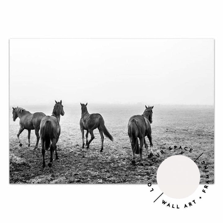 Gallop - Love Your Space