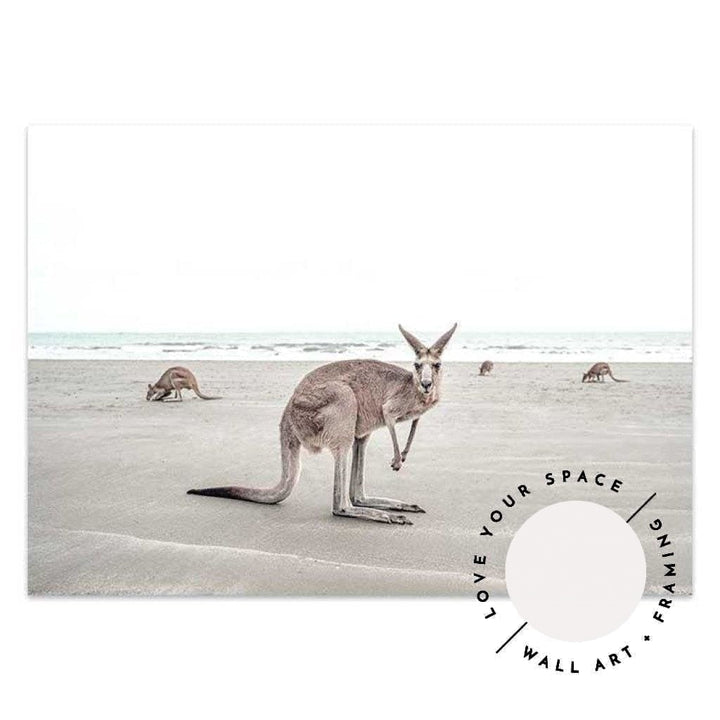 Kangaroos - Love Your Space