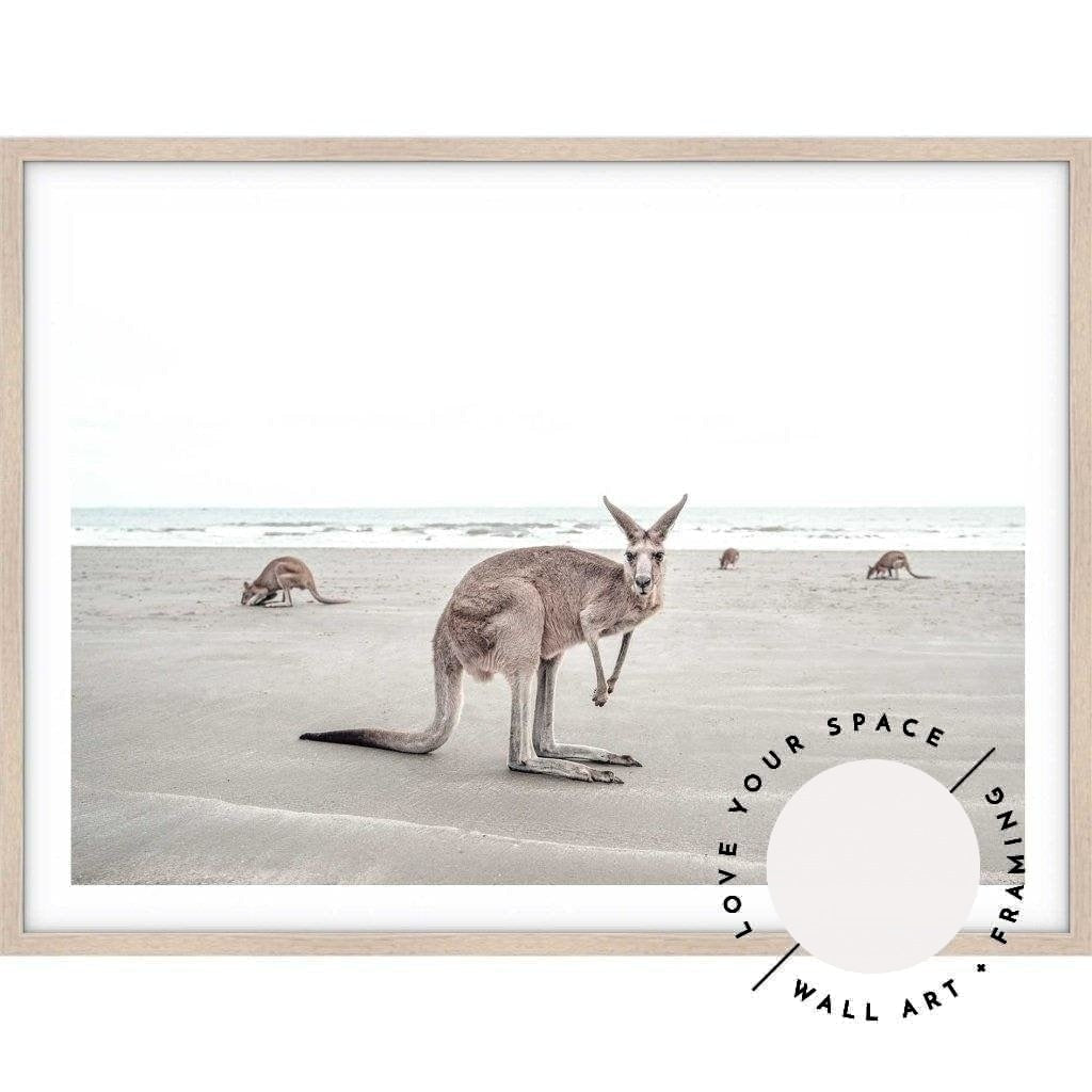 Kangaroos - Love Your Space