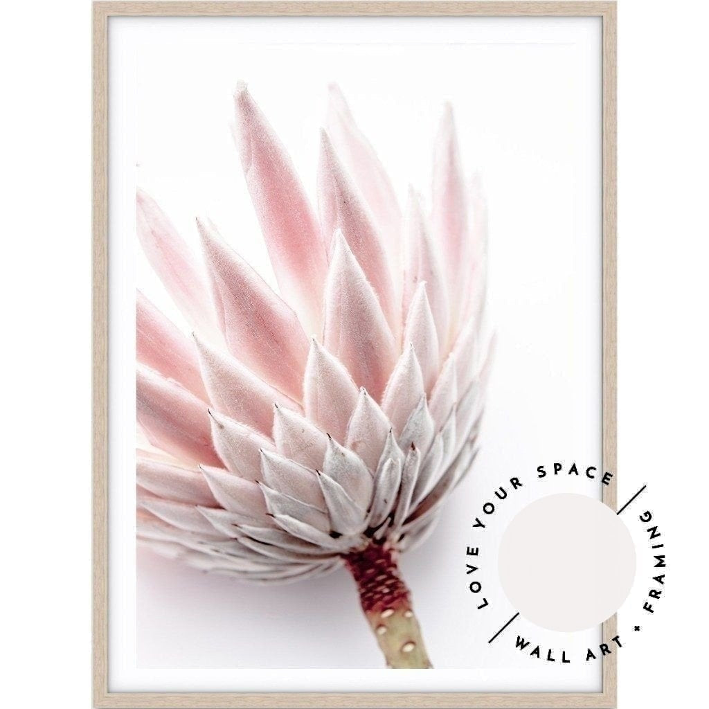 King Protea I - Love Your Space