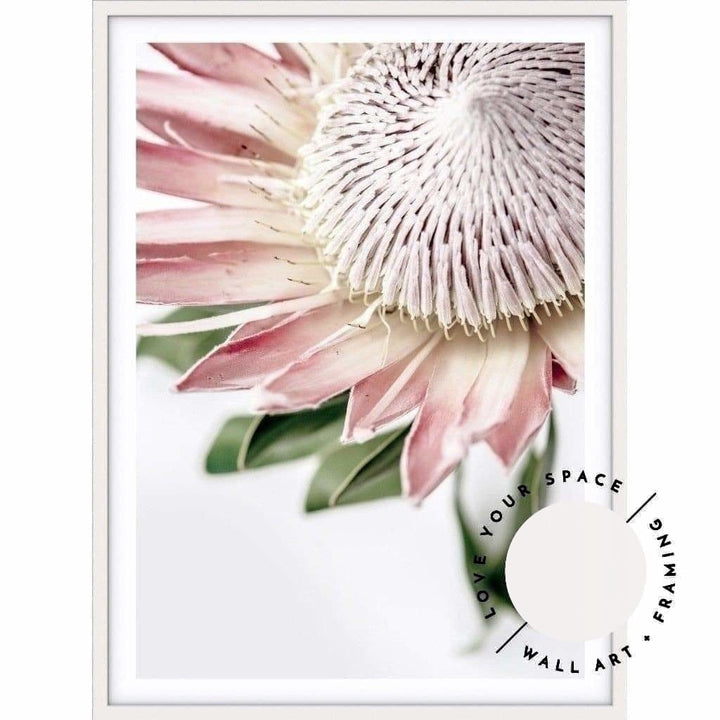 King Protea II - Love Your Space