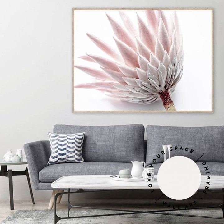 King Protea IV - Love Your Space