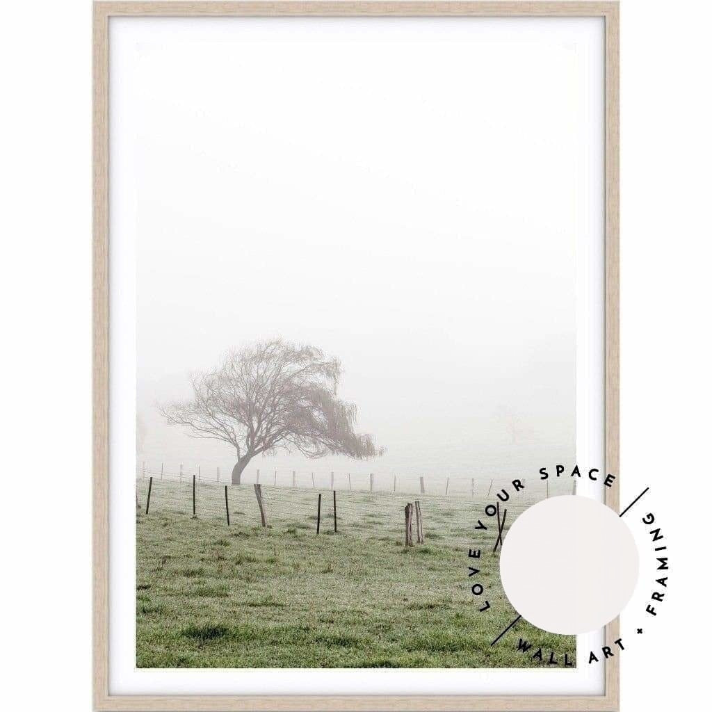Morning Fog II - Country Victoria - Love Your Space
