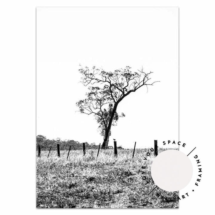 Outback no.1 - Black & White - The Hunter Valley - Love Your Space