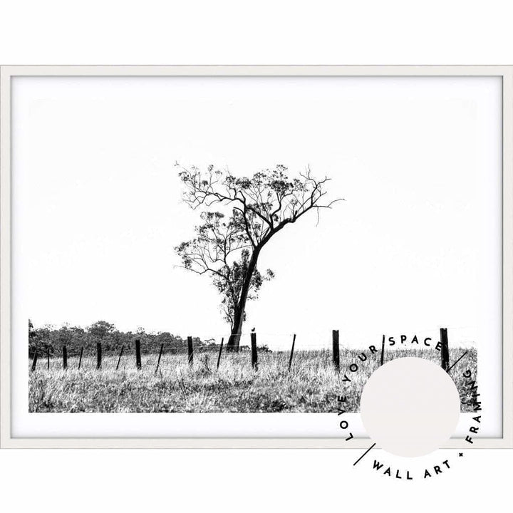 Outback no.2 - Black & White - The Hunter Valley - Love Your Space