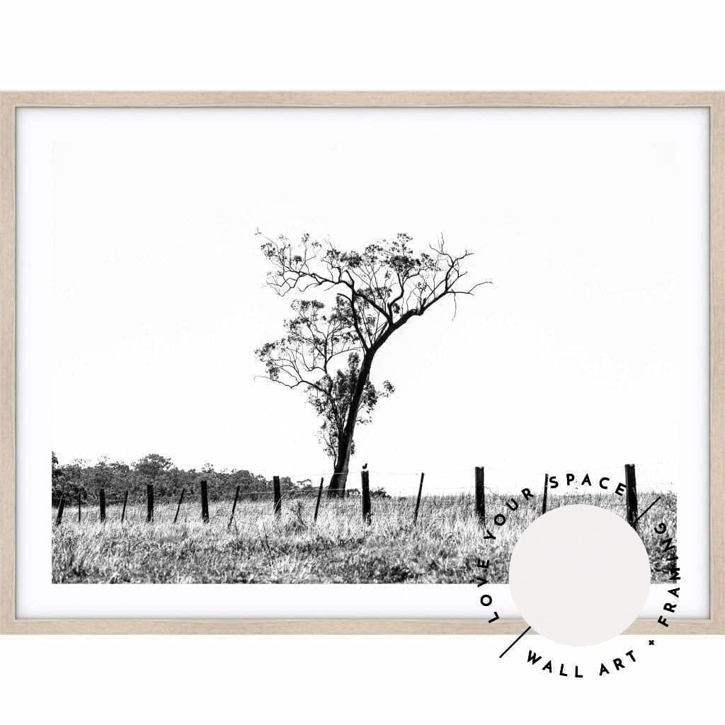 Outback no.2 - Black & White - The Hunter Valley - Love Your Space