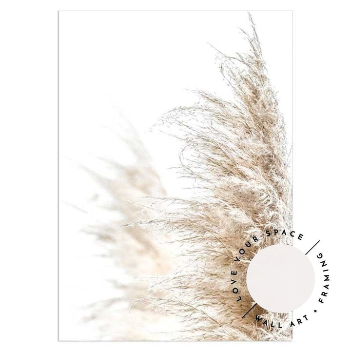Pampas Grass no.1 - Love Your Space