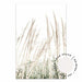 Pampas Grass no.2 - Love Your Space
