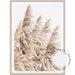 Pampas Grass no.3 - Love Your Space