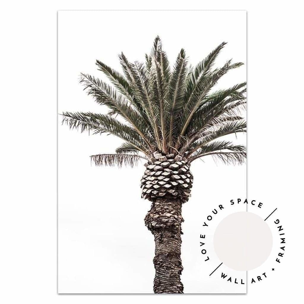 Pineapple Palm - Love Your Space