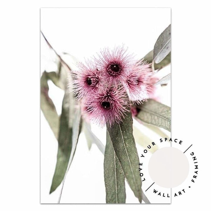 Pink Eucalyptus no.1 - Love Your Space