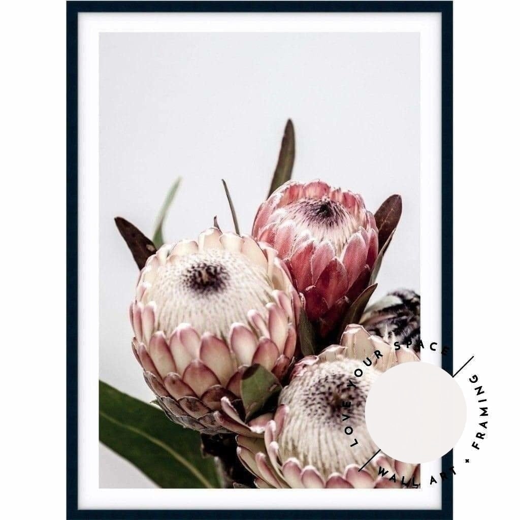 Protea I - Love Your Space