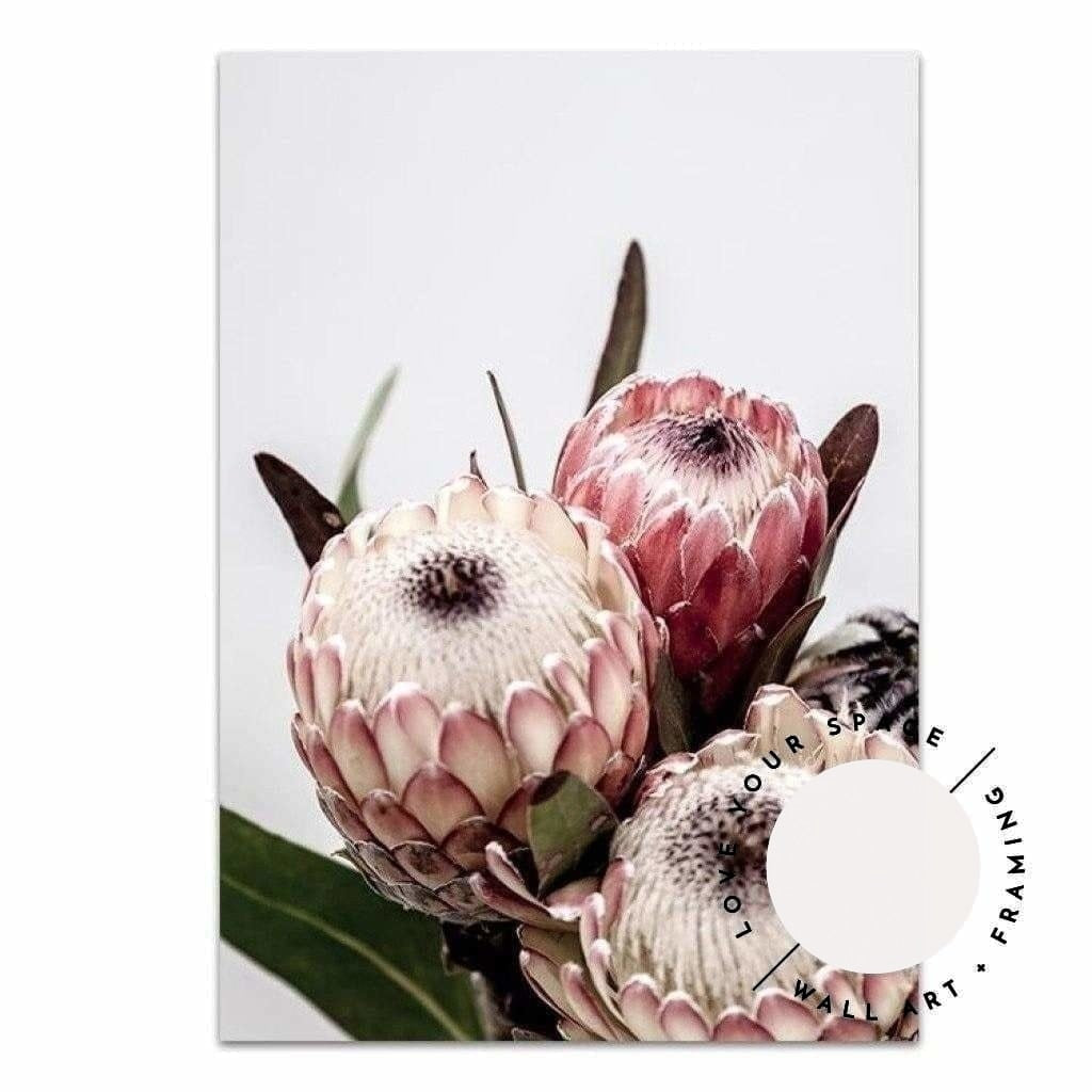 Protea I - Love Your Space