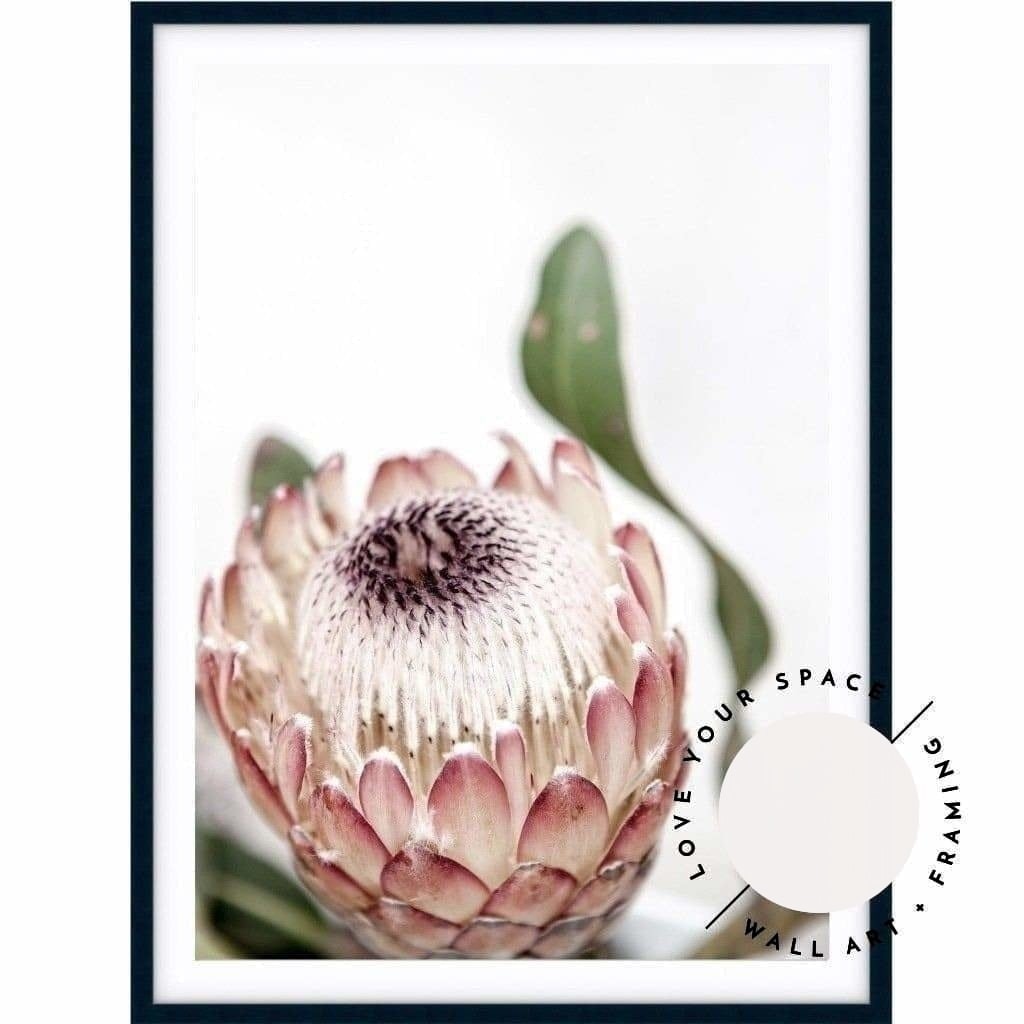 Protea II - Love Your Space