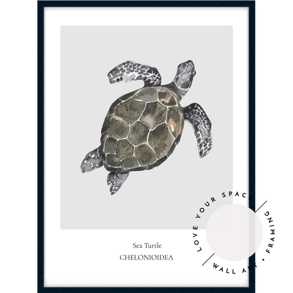 Sea Turtle - Love Your Space