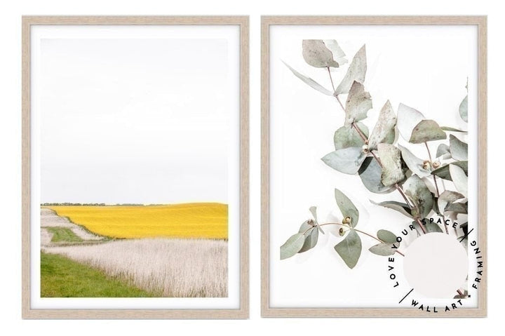 Set of 2 - Canola I + Eucalyptus Leaves no.1 - Love Your Space