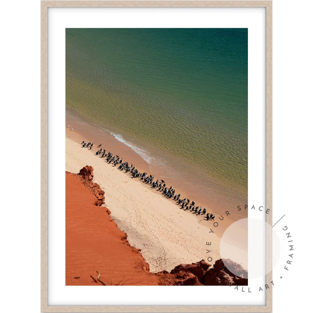Shark Bay - Western Australia