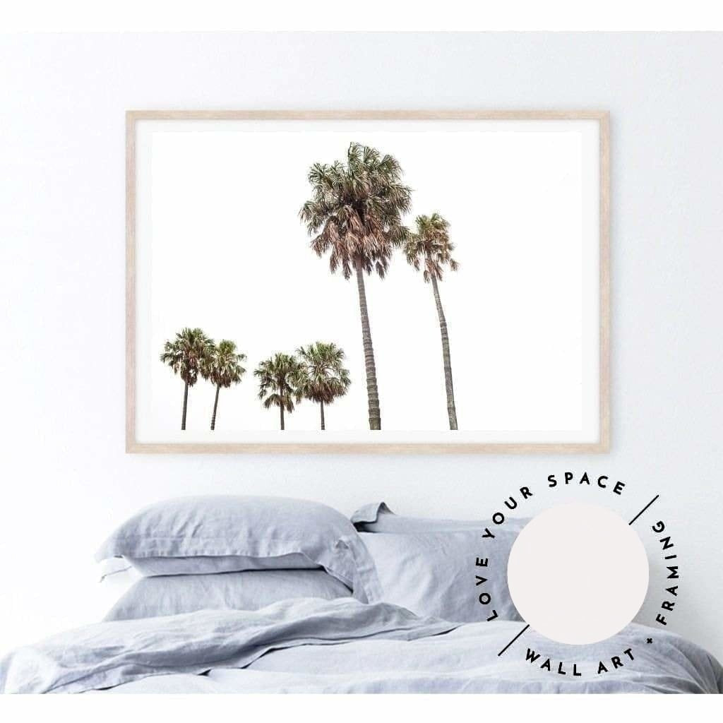 Tall Palms no.2 - Love Your Space