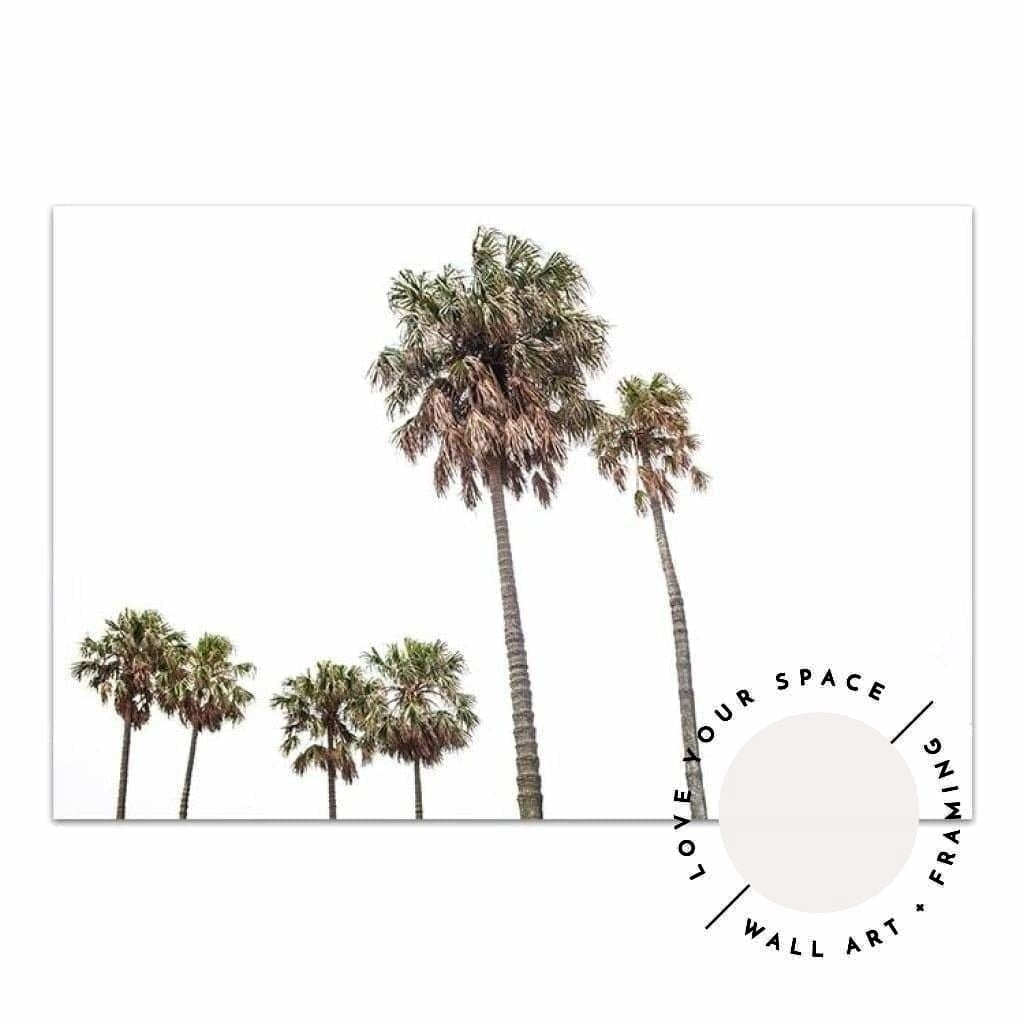 Tall Palms no.2 - Love Your Space
