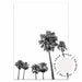 Tall Palms no.3 - Black & White - Love Your Space