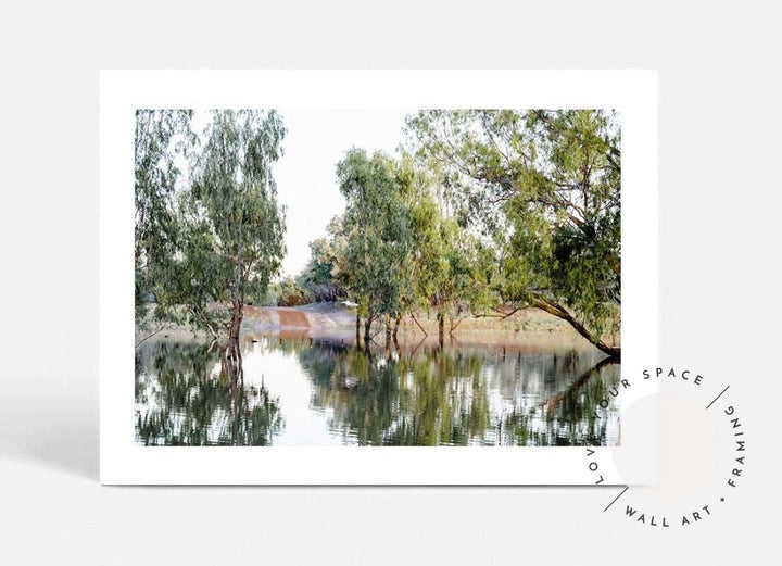The Darling River Gum Trees II - Love Your Space