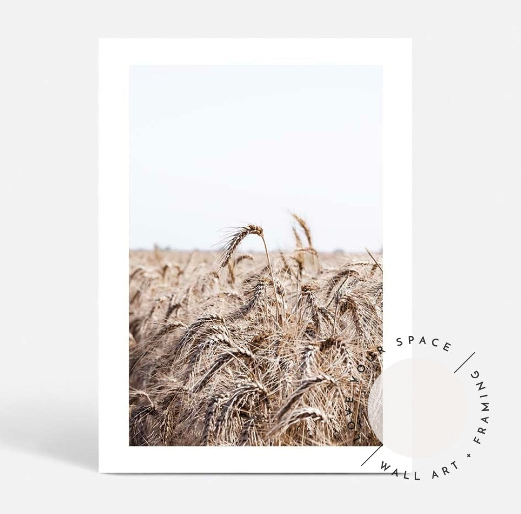 Wheat Farm I - Love Your Space