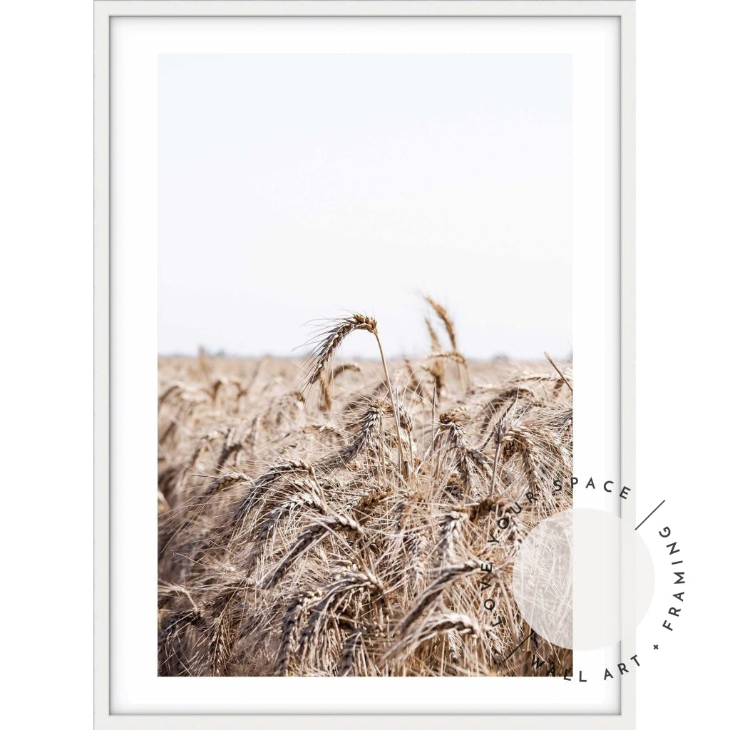 Wheat Farm I - Love Your Space