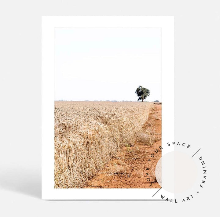 Wheat Farm II - Love Your Space