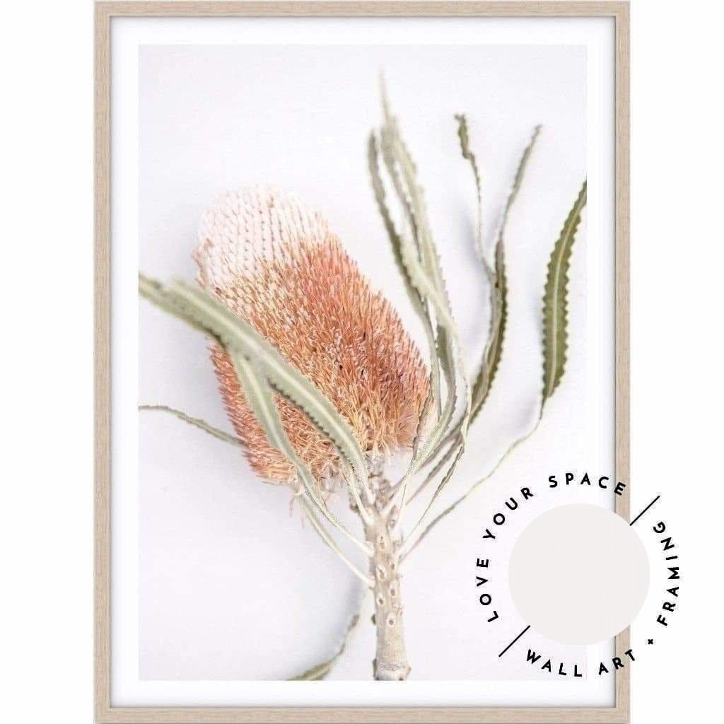 Banksia I - Love Your Space