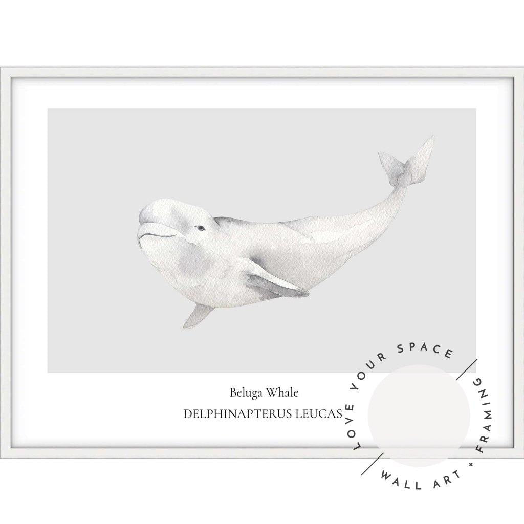 Beluga Whale - Love Your Space