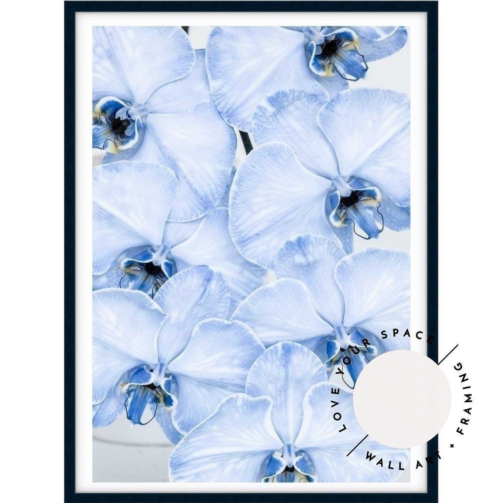 Blue Orchid no.1 - Love Your Space