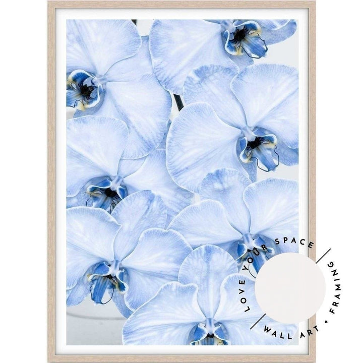 Blue Orchid no.1 - Love Your Space