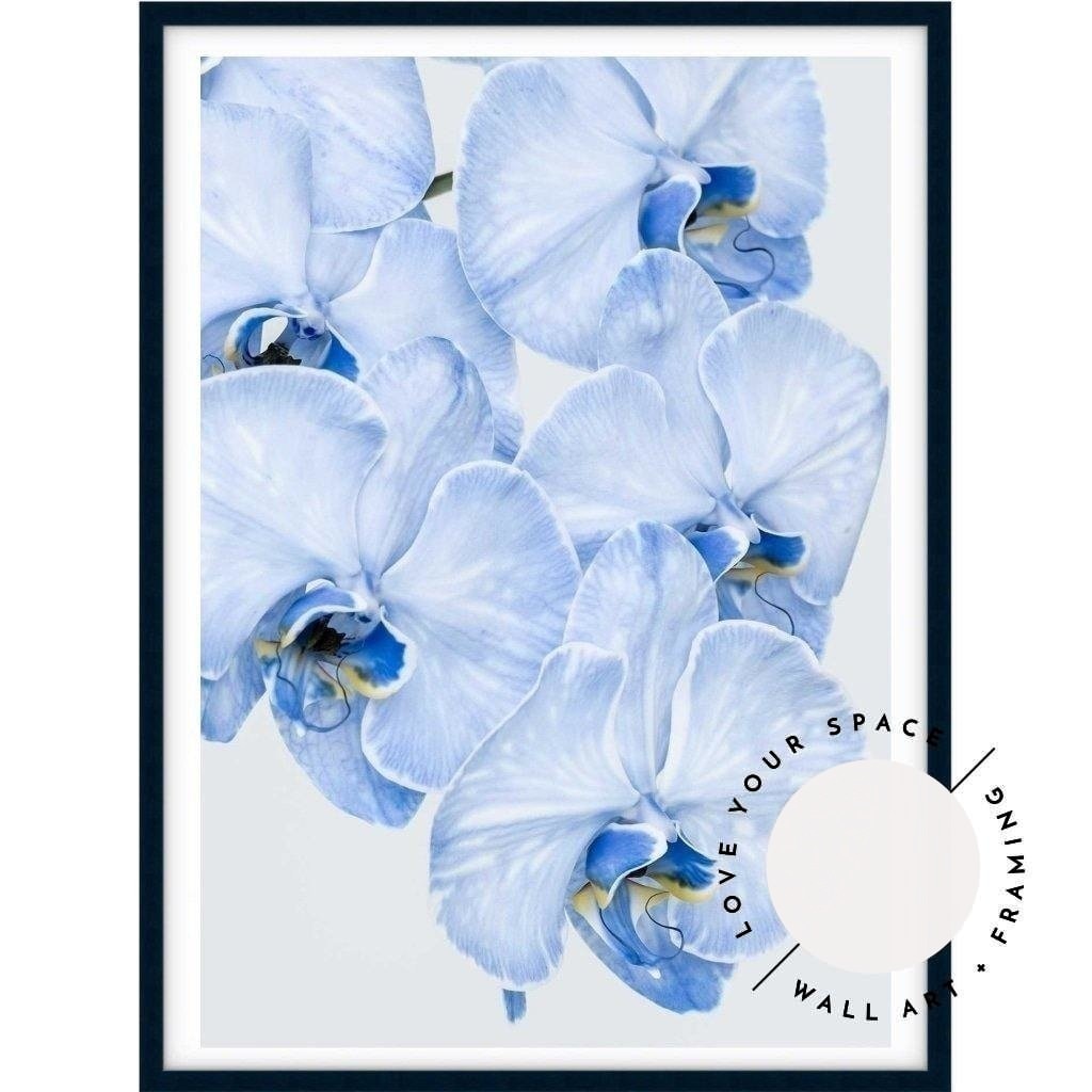 Blue Orchid no.2 - Love Your Space